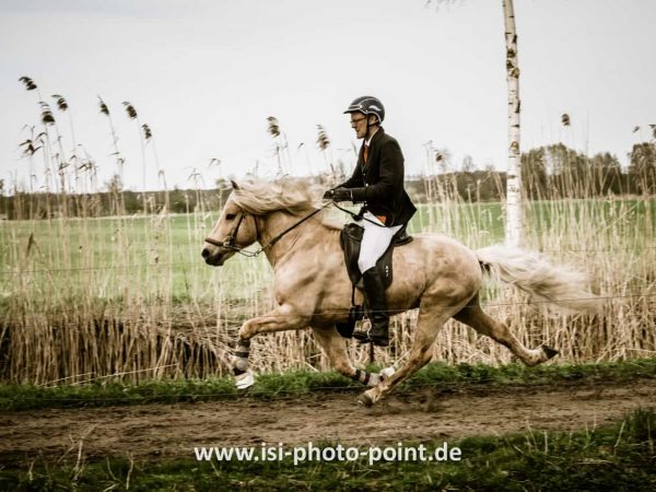 PhotoPoint_CT153465